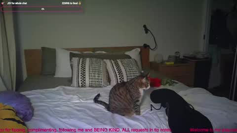 Snapshot of missemmbeex chatting on March 2, 8:59 pm missemmbeex online show from March 2, 8:59 pm