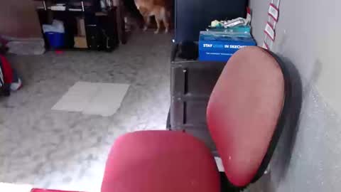 Snapshot of missgomezz_ chatting on March 19, 4:11 pm Maria Gomezz online show from March 19, 4:11 pm