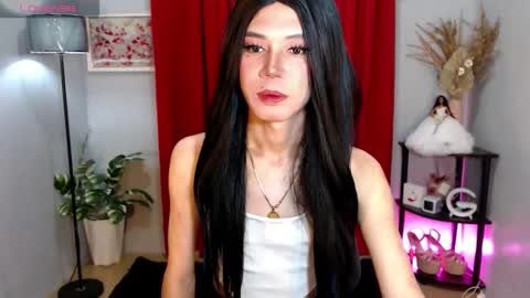 Stella online show from November 21, 8:02 am