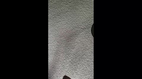 Snapshot of mister_nasty chatting on October 3, 9:56 pm mister_nasty online show from October 3, 9:56 pm