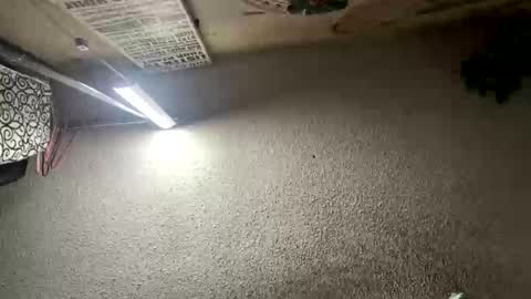 Snapshot of mister_nasty chatting on January 12, 6:57 pm mister_nasty online show from January 12, 6:57 pm