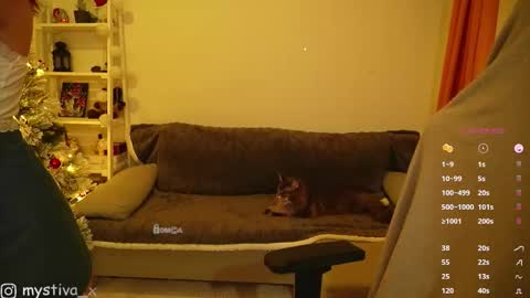 Hi everyone Im Tina online show from December 20, 5:53 pm