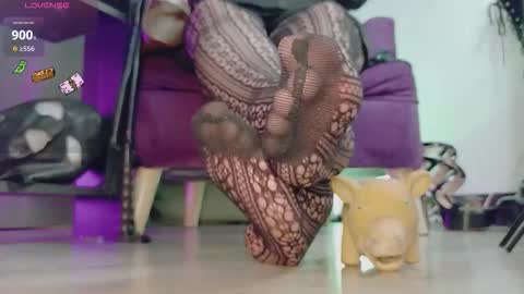 Jhadee online show from February 23, 11:46 pm