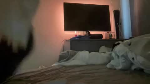 Snapshot of mitchellw7752 chatting on December 31, 12:57 pm mitchellw7752 online show from December 31, 12:57 pm