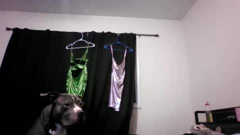 miztrezk online show from May 12, 2:08 am