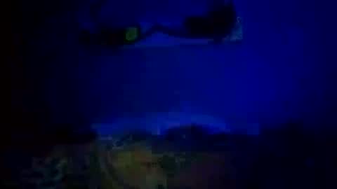 Daddy720 online show from October 14, 11:05 pm