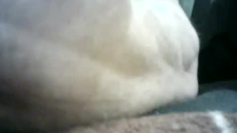 Snapshot of mlkklm47 chatting on January 2, 4:13 pm mlkklm47 online show from January 2, 4:13 pm
