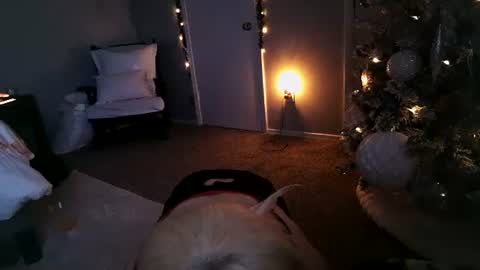 Angel online show from December 11, 11:30 am