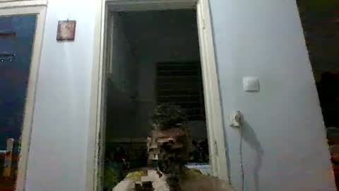 mmpempis81 online show from September 28, 7:08 pm