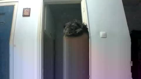 mmpempis81 online show from September 29, 7:19 pm