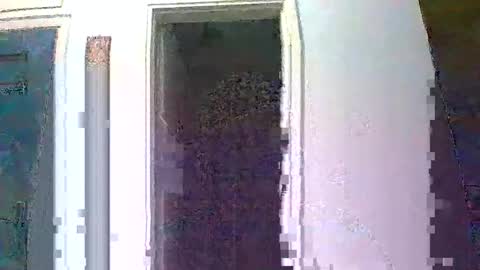 mmpempis81 online show from October 1, 5:30 pm