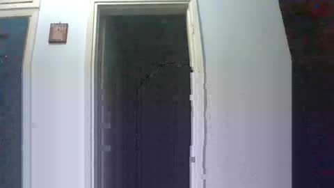 mmpempis81 online show from October 7, 5:32 pm