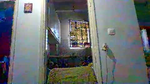 mmpempis81 online show from October 24, 5:04 am