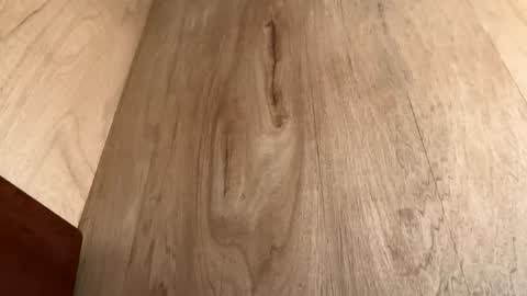 Snapshot of moeline chatting on October 20, 6:58 am Jack online show from October 20, 6:58 am