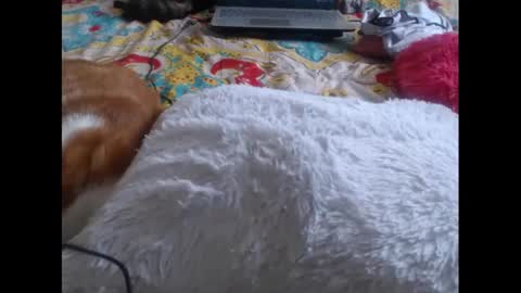 Molly And Brad online show from February 5, 9:29 pm