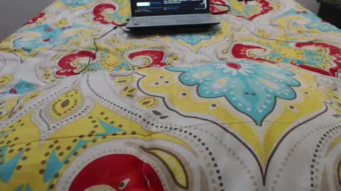 Molly And Brad online show from September 20, 9:27 pm