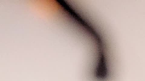 Molly Evanss online show from January 23, 7:32 am