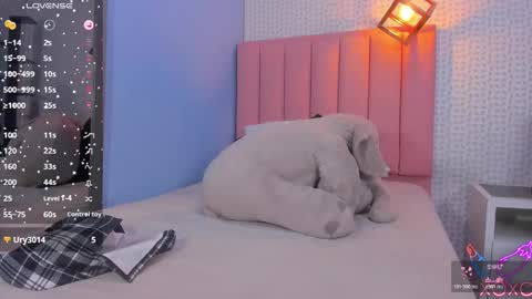 MOLLY online show from November 11, 7:58 pm