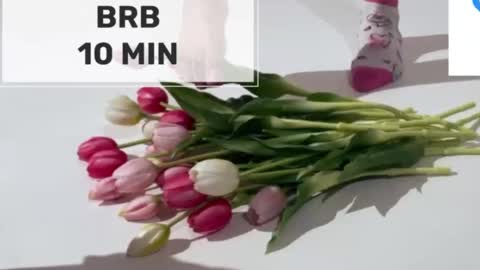 Mommy online show from March 2, 5:08 am