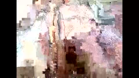 Snapshot of mommyissues2386 chatting on September 28, 9:53 pm Richard Sheridan online show from September 28, 9:53 pm