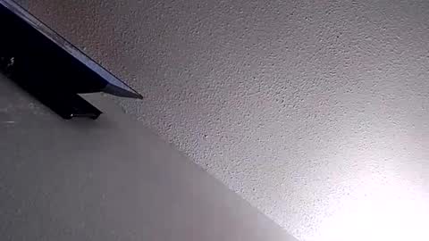 momoneyr15 online show from February 10, 3:21 am