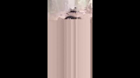 shirybeb online show from January 8, 12:29 pm