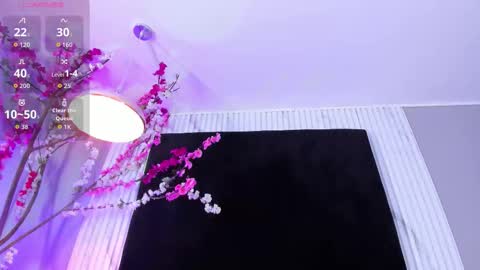 MONIK FOX online show from December 2, 8:37 pm