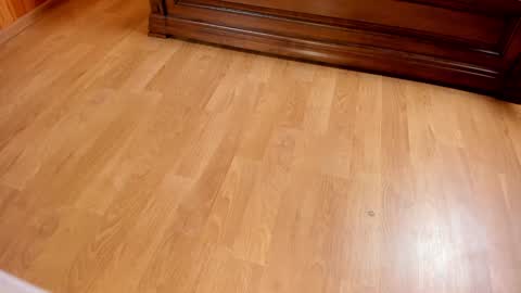 Snapshot of monika_gram chatting on January 25, 7:39 pm Monika NO c2c ever. PVT free Naked Fingering pussy doggy or standing BJ HJ Feet Fashion. PVT extra Toy control 400tk. online show from January 25, 7:39 pm