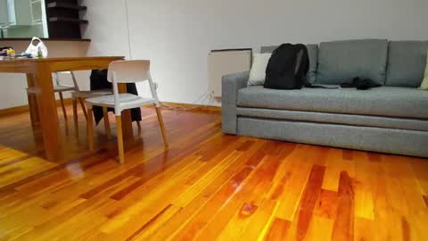 Snapshot of monikfree chatting on December 5, 4:23 pm Monikfree online show from December 5, 4:23 pm