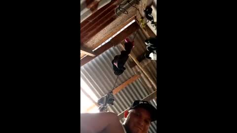 monosqui13 online show from February 3, 7:30 pm