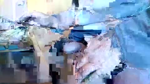Snapshot of mookie2 chatting on January 11, 9:47 am mookie2 online show from January 11, 9:47 am