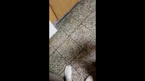 moos1 online show from October 4, 4:10 am