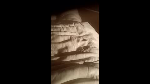 moos1 online show from October 15, 7:03 pm