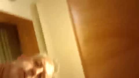 moos1 online show from March 8, 9:40 pm