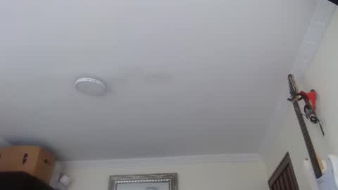 Snapshot of morbidangel08 chatting on January 12, 3:28 pm Abelardo online show from January 12, 3:28 pm