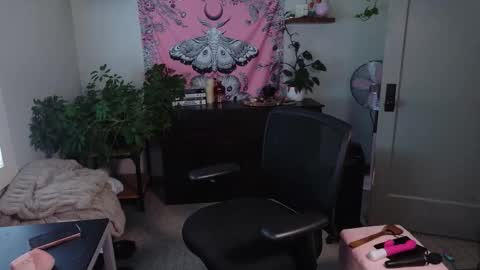 Mousie online show from February 27, 7:47 pm