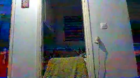 mppempis81 online show from November 19, 3:45 pm