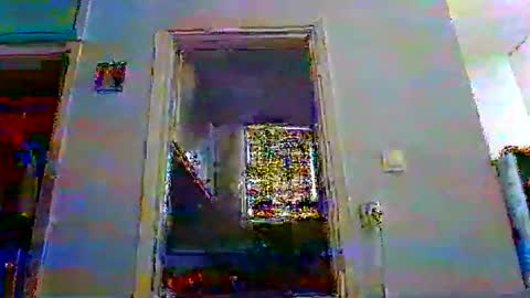 mppempis81 online show from December 5, 6:11 am