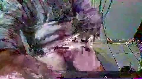 mppempis81 online show from January 31, 7:11 pm