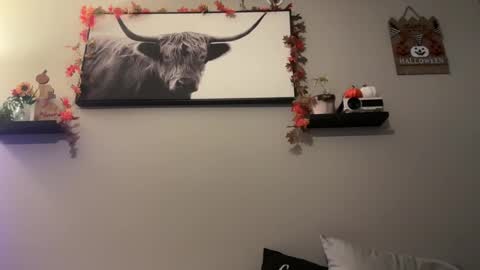 mrandmsbaked online show from October 29, 8:27 am