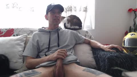 mrcock_col online show from April 8, 5:13 pm