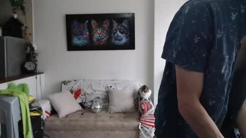 mrcock_col online show from May 11, 1:39 pm