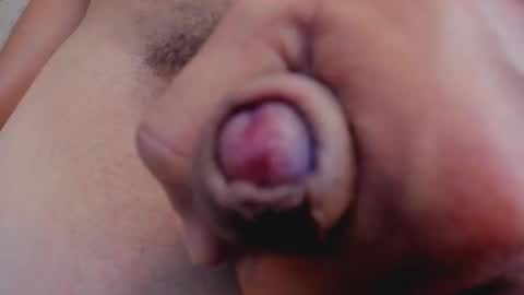 MrFrank. online show from November 15, 3:19 pm