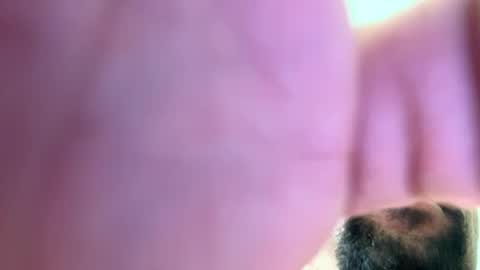 Snapshot of mrfrankfuckforfree chatting on December 2, 2:52 pm mrfrankfuckforfree online show from December 2, 2:52 pm