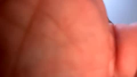 Snapshot of mrfrankfuckforfree chatting on January 19, 5:26 am mrfrankfuckforfree online show from January 19, 5:26 am