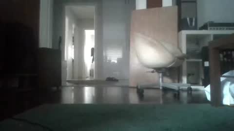 Nikola online show from February 4, 7:03 am