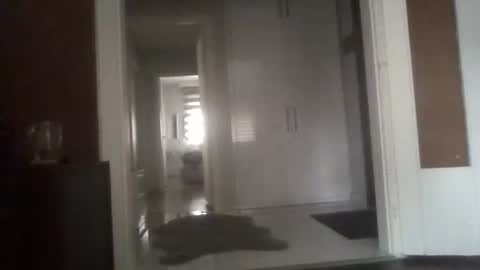 Snapshot of mrhandsomelovee chatting on March 13, 6:42 am Nikola online show from March 13, 6:42 am