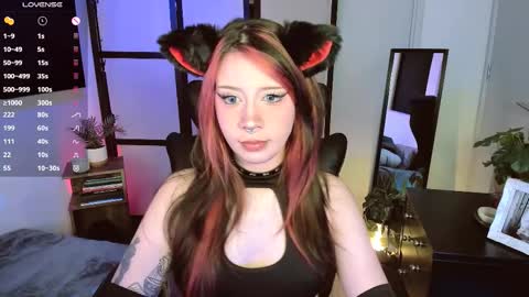      schedule monday tuesday wednesday thursday - sunday  online show from February 4, 10:04 pm