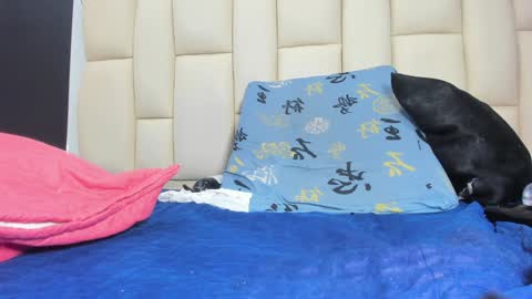 Snapshot of mss_mar chatting on December 17, 9:17 am FERNANDA 3 online show from December 17, 9:17 am