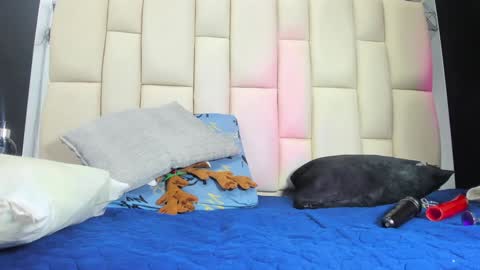 Snapshot of mss_mar chatting on December 19, 3:07 am FERNANDA 3 online show from December 19, 3:07 am